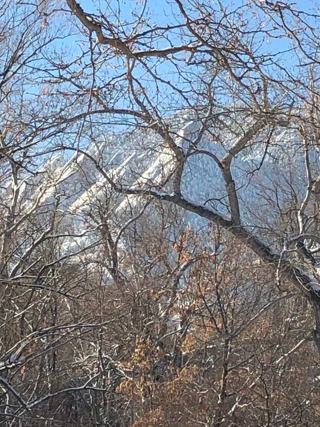 Photo - 824 Walnut St (Boulder, CO)