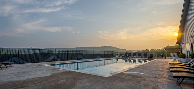 Piscina - Storyboard on Stoney Pines