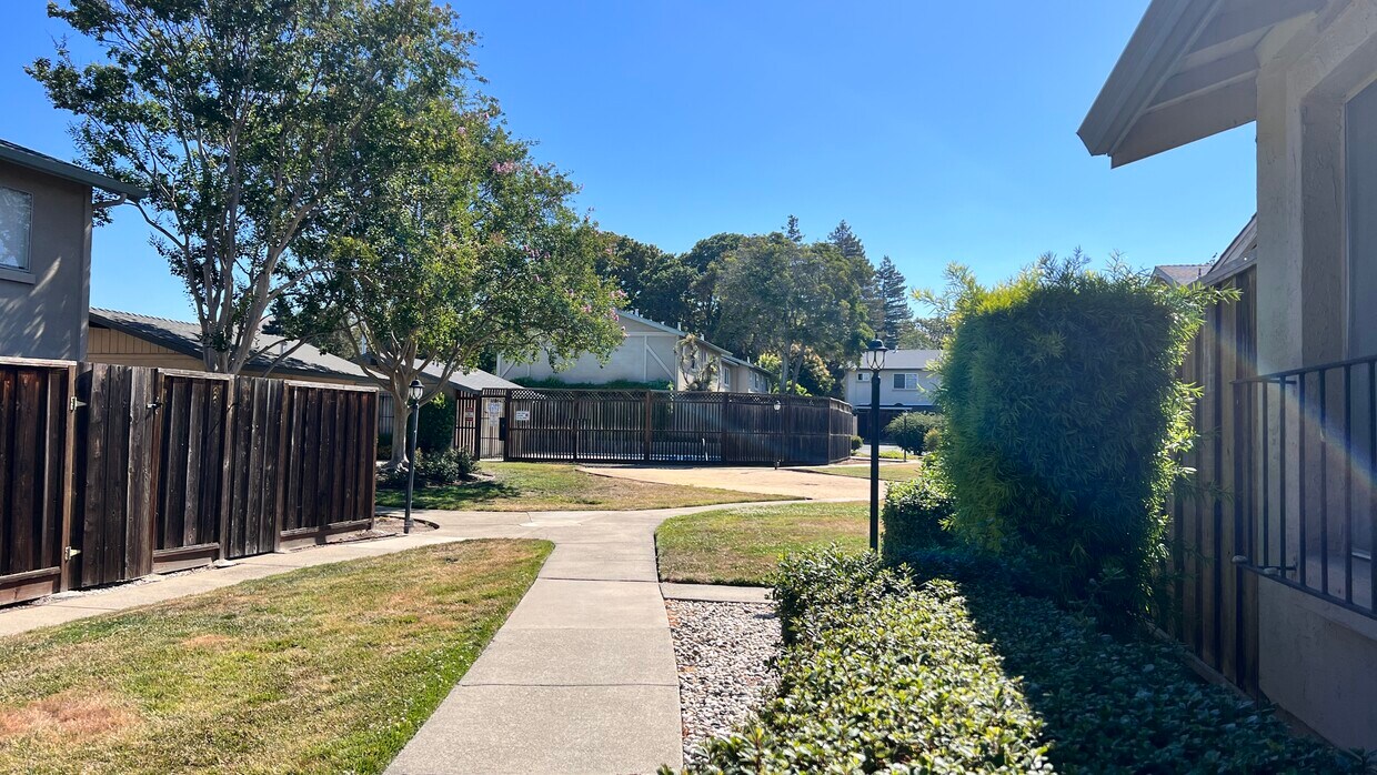 1501 Big Basin Dr, Milpitas, CA 95035 Townhome Rentals in Milpitas CA