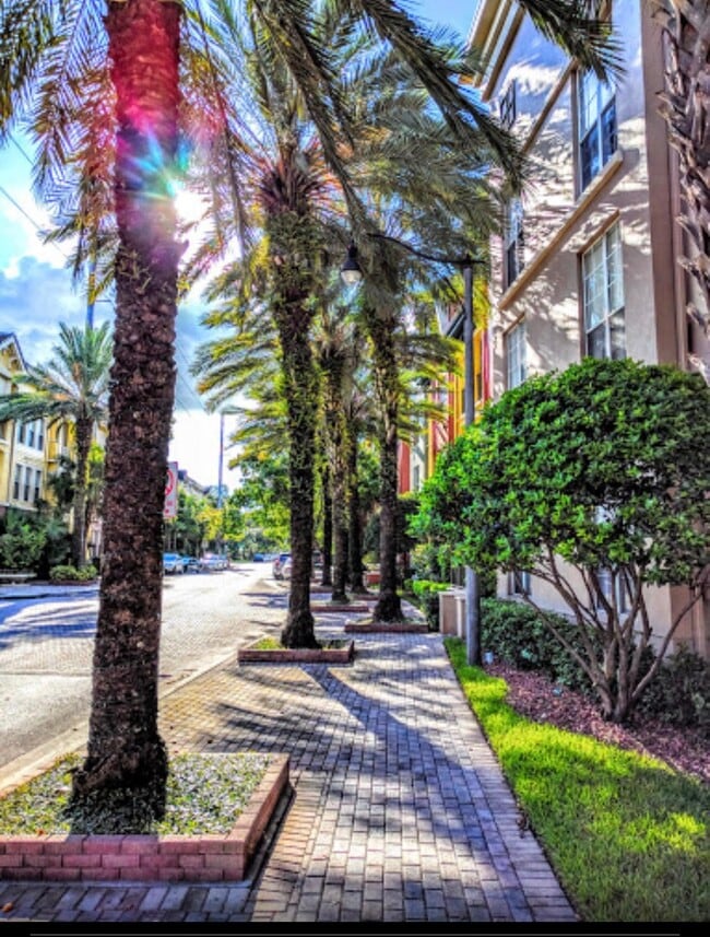 CALLE/ACERA - 2411 W Horatio St