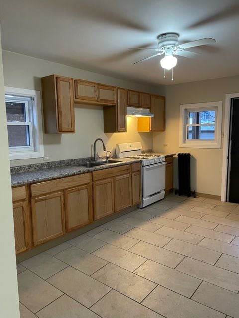 Photo - 2529 N Austin Ave Apartment