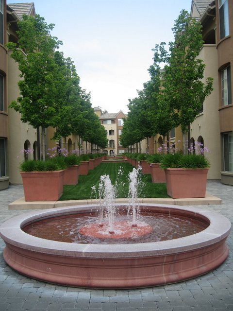 Tree Lined Courtyard - 1550 Technology Dr