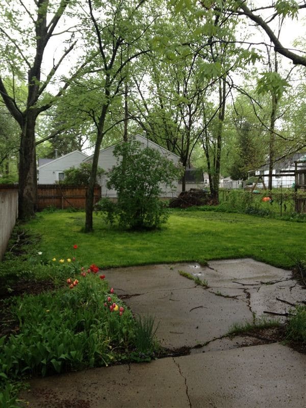 Building Photo - 511 Brynford Ave