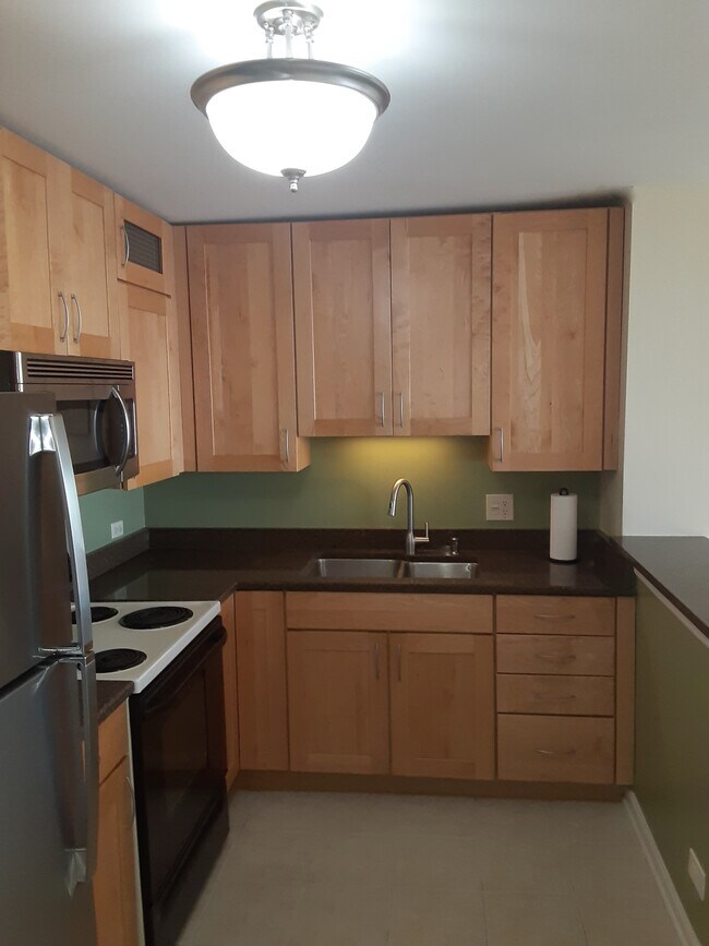 Lots of storage cabinets, new refrigerator and new kitchen faucet/piping - 1636 N Wells St