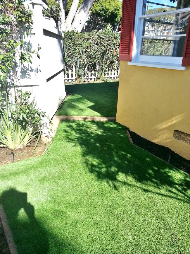 towards front yard - 3120 Colorado Ave