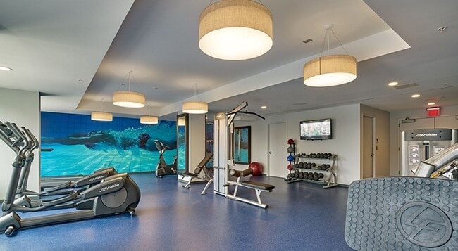 Photo - The Vine Apartment