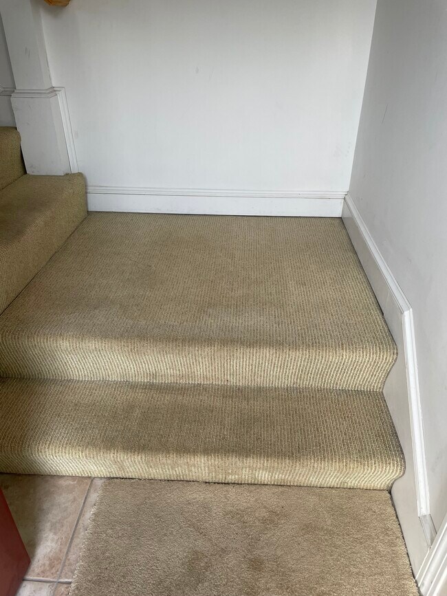 Stairs from front door - 206 Falls Blvd