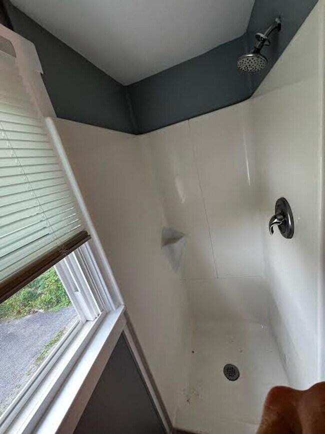 Foto del edificio - Cute 1 Bedroom Single Unit - Close to Campus!