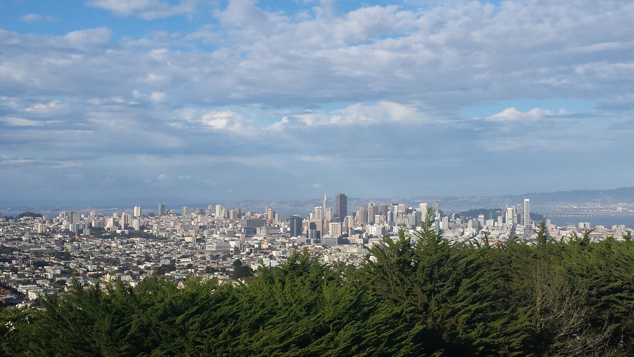 Daytime view of San Francisco skyline - 95 Red Rock Way