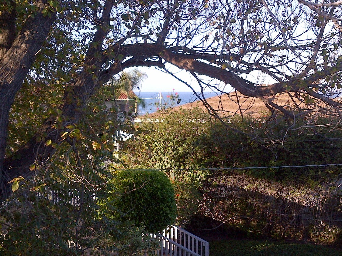 Ocean View from balcony - 250 La Paloma