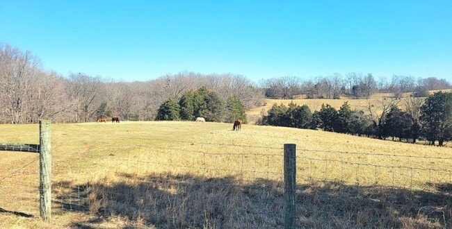 Building Photo - 1444 Ben T Johns Rd