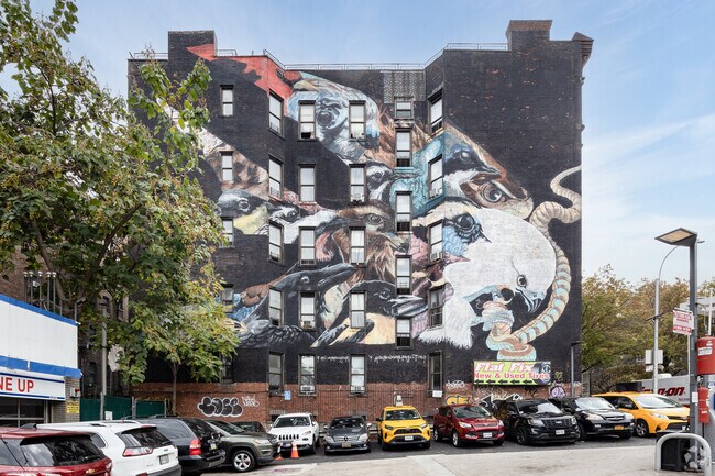 Building Photo - The Stella