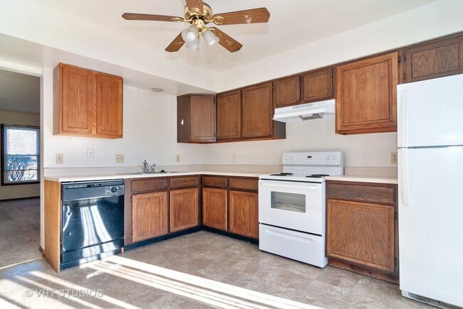 Building Photo - 1668 Shamrock Ct