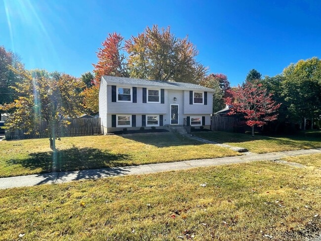 Newly Renovated Hillview Bi-Level! - Newly Renovated Hillview Bi-Level! House
