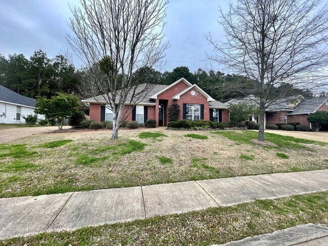 Foto del edificio - 3 bed 2 bath home in Brandon