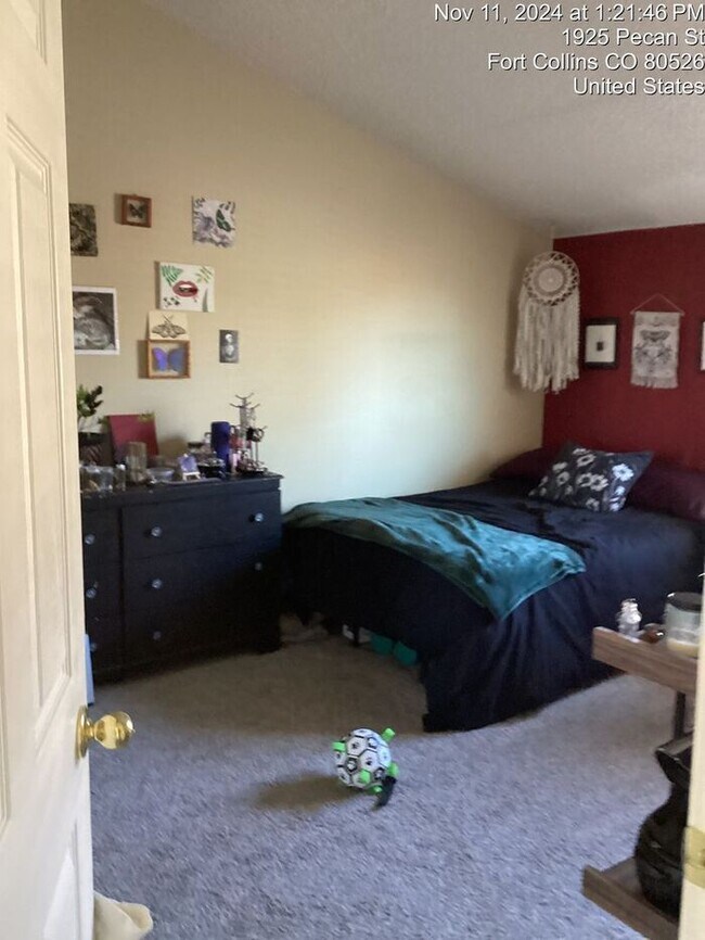Foto del edificio - Recently Upgraded 2 Bedroom Apt Near Horsetooth!