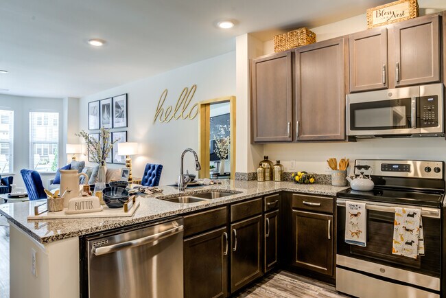 Foto del interior - Allure Apollo