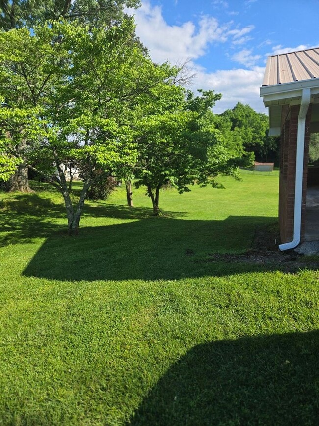 Building Photo - 1495 Main St