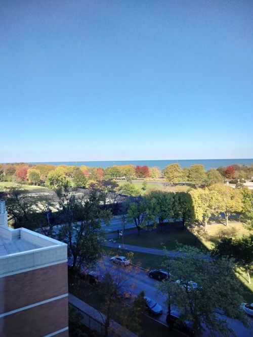 Foto del edificio - 5100 N Marine Dr