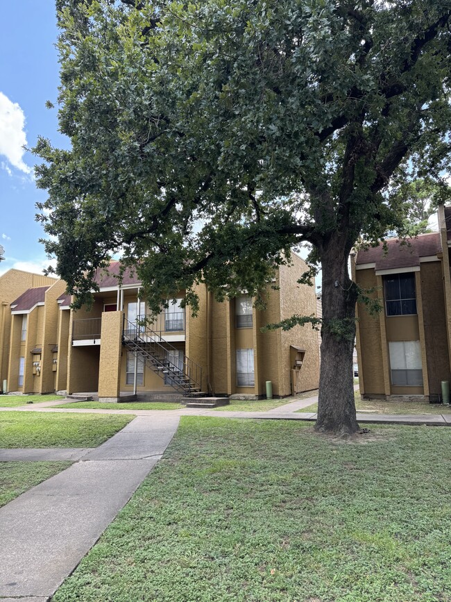 Building Photo - Springhill