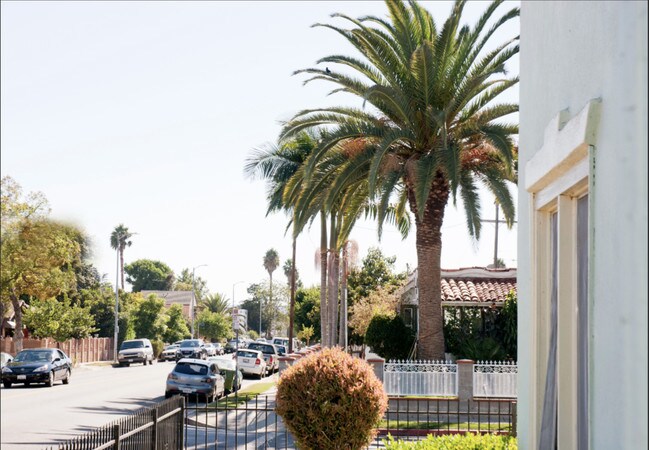 South view from the porch - 1651 West Blvd