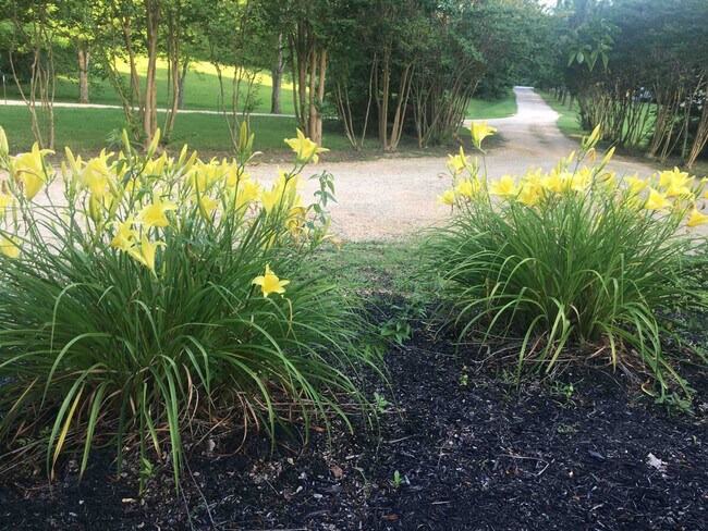 Foto del edificio - 175 Laveta Ln