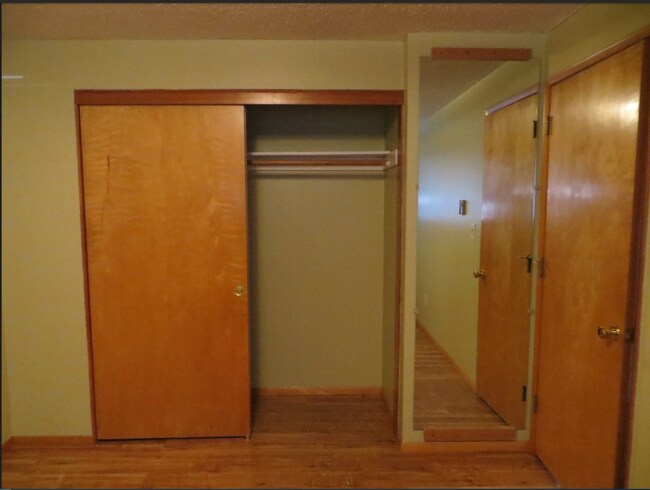 Bedroom 1 - Mirror and Closet View - 3527 SE Wake St