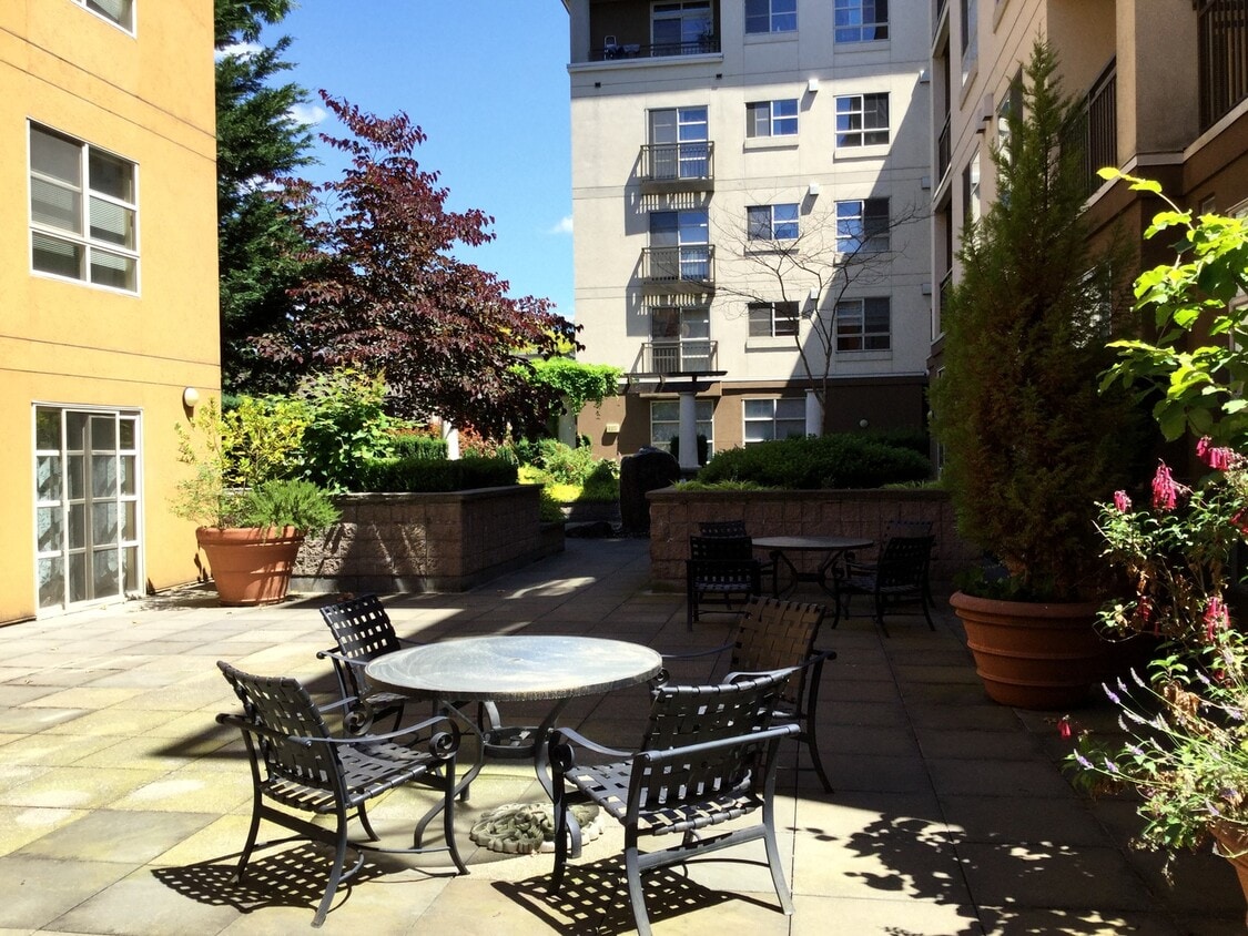 Beautiful Unit in Downtown Bellevue! - Beautiful Studio in Downtown Bellevue!