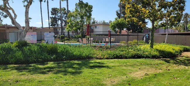 La belleza rodea la piscina y el solárium de Plaza Verde Apartments en Escondido, California. - Plaza Verde