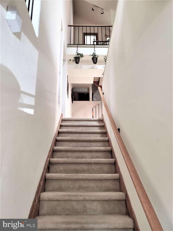 Foto del edificio - 8 Rex Ave