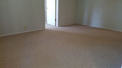Living Room - 1301 Grace Ave