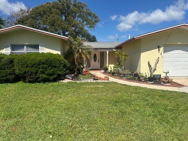 Jardín delantero - 795 2nd St