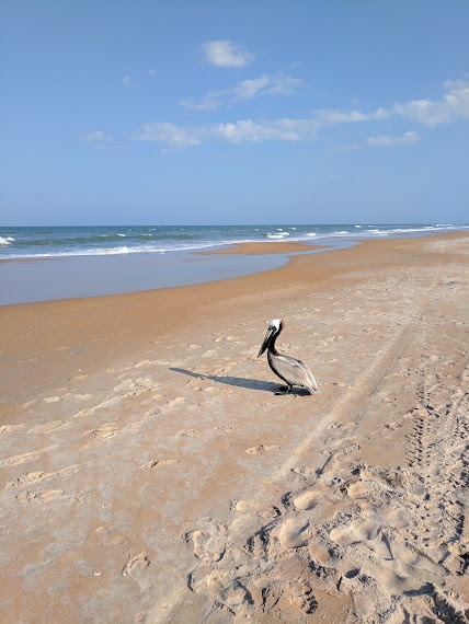 Building Photo - 1732 Ocean Shore Blvd