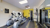 Located at 4711 S Himes Ave in Tampa, Florida, this single-floor fitness center is a well-equipped exercise facility designed to support a full range of workout routines. The space is characterized by bright, energetic yellow accent walls contrasted with soft cream-toned wainscoting, creating a motivating and visually dynamic environment. Durable patterned carpet flooring in grey and yellow tones runs throughout, complementing the room's color palette.

The facility is outfitted with multiple elliptical trainers and cardio machines positioned along a wall of large, multi-pane windows that offer natural light and pleasant views of the surrounding greenery. A multi-station cable weight machine provides options for strength training, while a dumbbell rack stocked with a range of free weights and an adjustable weight bench allow for varied resistance workouts. Ceiling fans mounted overhead help maintain comfortable air circulation throughout the space.

Full-length mirrors along one wall visually expand the room and assist users in monitoring their form during exercise. French doors and large windows on multiple sides invite abundant natural light, keeping the space open and airy. A posted exercise facility rules board and wall-mounted sanitation dispenser reflect attention to cleanliness and order. Overall, the fitness center offers a compact yet comprehensive environment for both cardio and strength training.