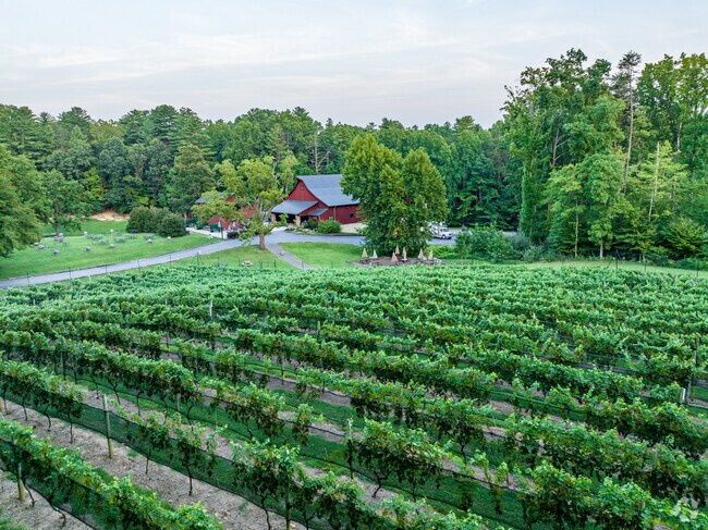 Relax and unwind at Paradise Springs Winery.