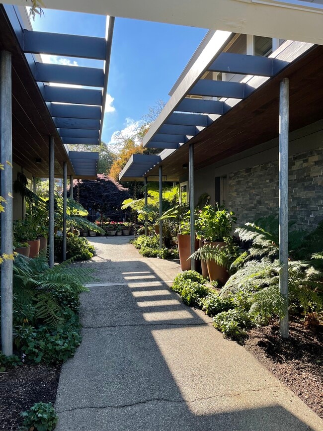 Front Walk - 111 Elm St