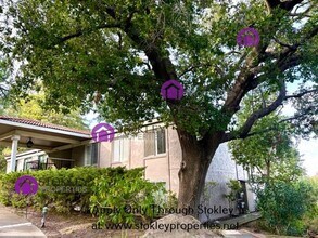 Building Photo - 3125 Terra Granada Dr