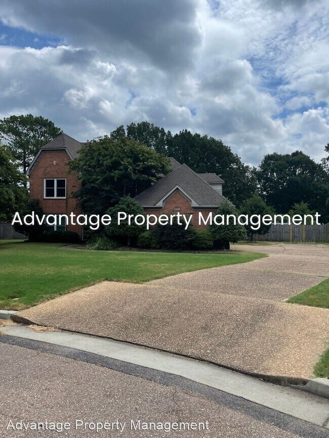 Building Photo - 4 br, 2.5 bath House - 9599 Cherry Laurel Cv.