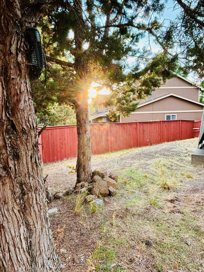 Foto del edificio - 61208 Brittle Bush St