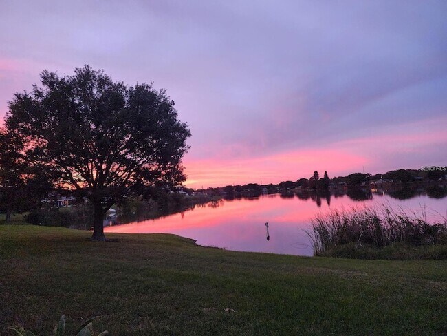 Foto del edificio - 8211 118th Ave N