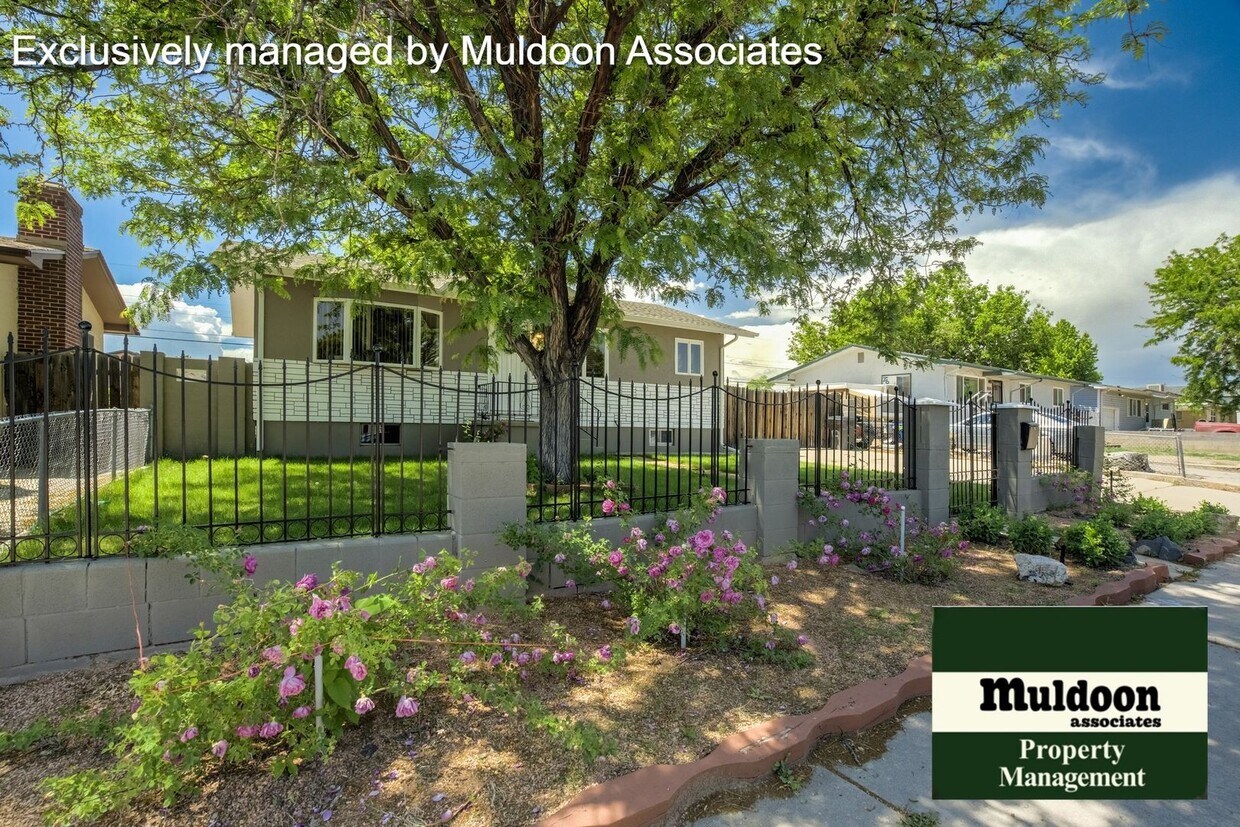 Primary Photo - Remodeled house with finished basement!