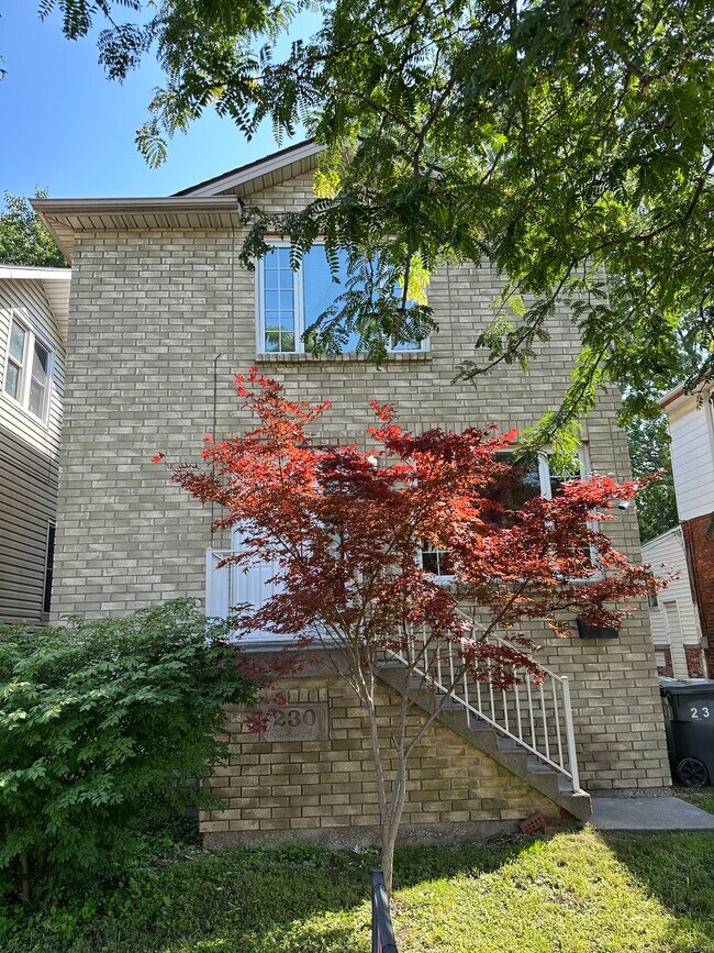 Building Photo - 230 Rankin Av