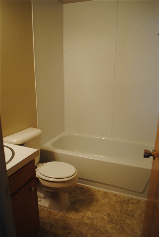 409 N Ball St, Owosso, MI 48867 Condo for Rent in Owosso, MI