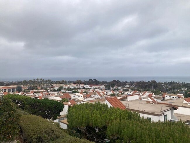 Building Photo - Single level 2-bedroom 2-bath home in private community of Ocean Hills