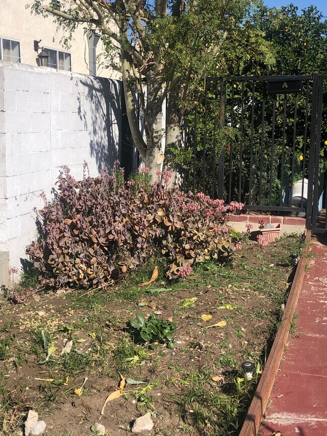 Veggie Garden section - 1329 E Garfield Ave