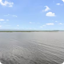 Building Photo - 6168 Cattau Beach Rd