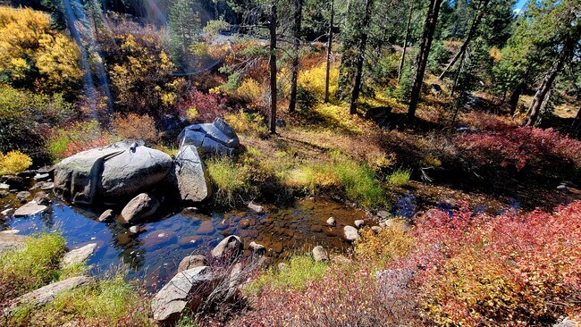 River Frontage - 21719 Donner Pass Rd
