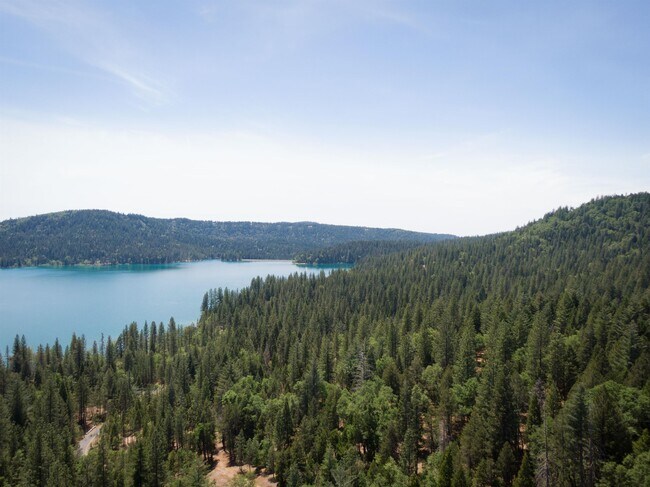 Building Photo - 14865 Scotts Flat Pines Rd