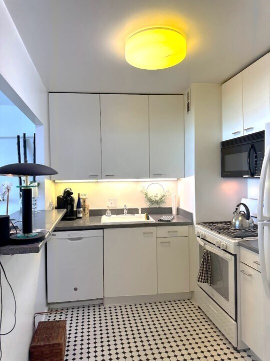 Foto del edificio - 1150 N Lake Shore Dr
