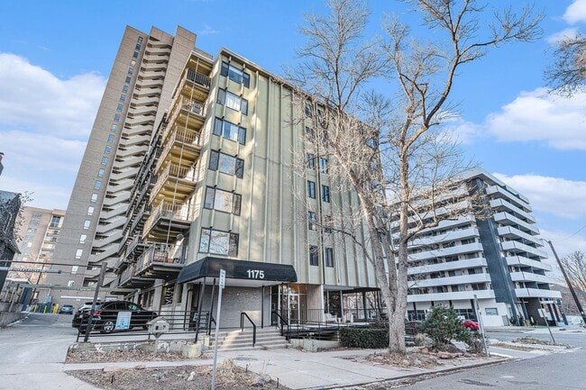 Available Immediatley! Stunning Cheesman ... - Available Immediatley!  Stunning Cheesman ... Apartment